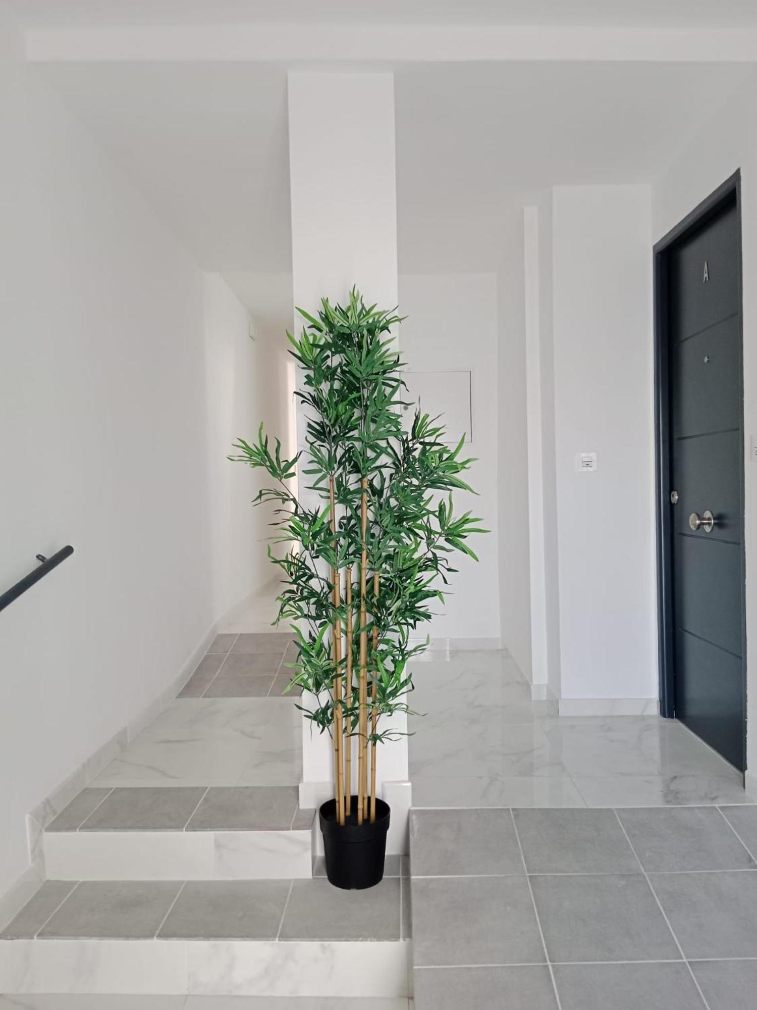 Apartamento Gloria Bendita Jerez de la Frontera Buitenkant foto